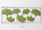Garden Sversize Framed Handmade Metal Leaf Wall Hangings